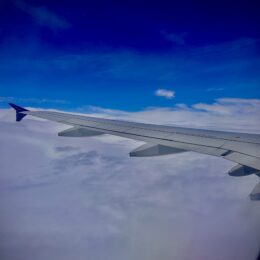 Half Marathon Training Tips: Lessons I Learned In My First Weeks