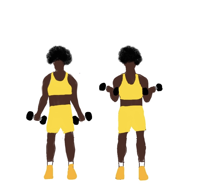 upper arm workout for beginners
